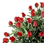 rosenstraussframe.gif (14192 Byte)