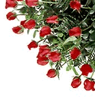 rosenstraussframe.gif (14192 Byte)